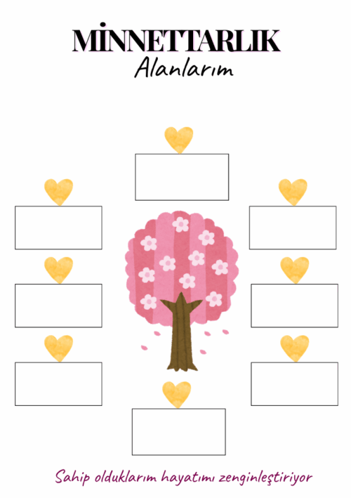 Minnettarlık alanlarım